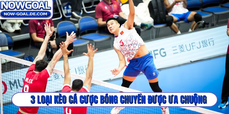 3 loại kèo cá cược bóng chuyền được ưa chuộng