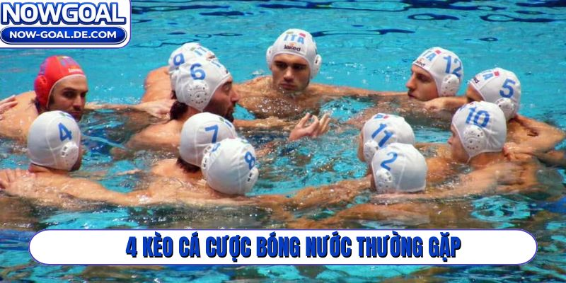 4 kèo cá cược bóng nước thường gặp