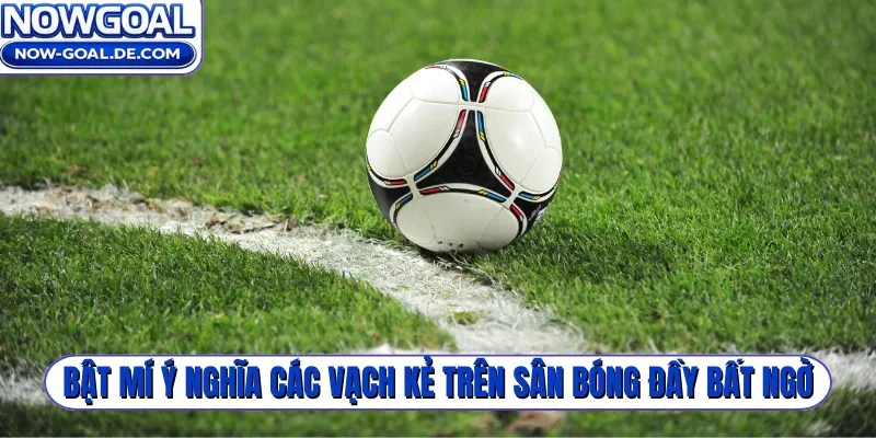 Bật mí ý nghĩa các vạch kẻ trên sân bóng đầy bất ngờ