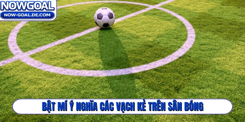 Bật mí ý nghĩa các vạch kẻ trên sân bóng