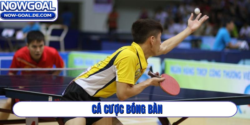 Cá cược bóng bàn