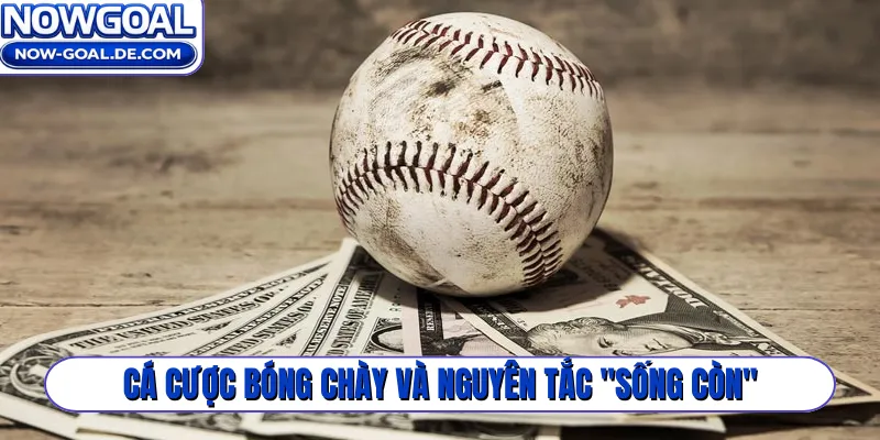 Cá cược bóng chày và nguyên tắc
