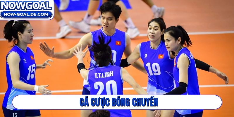 Cá cược bóng chuyền