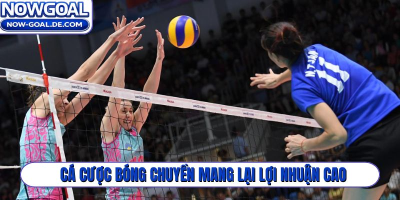 Cá cược bóng chuyền mang lại lợi nhuận cao