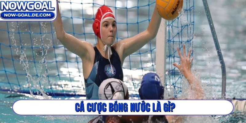 Cá cược bóng nước là gì?