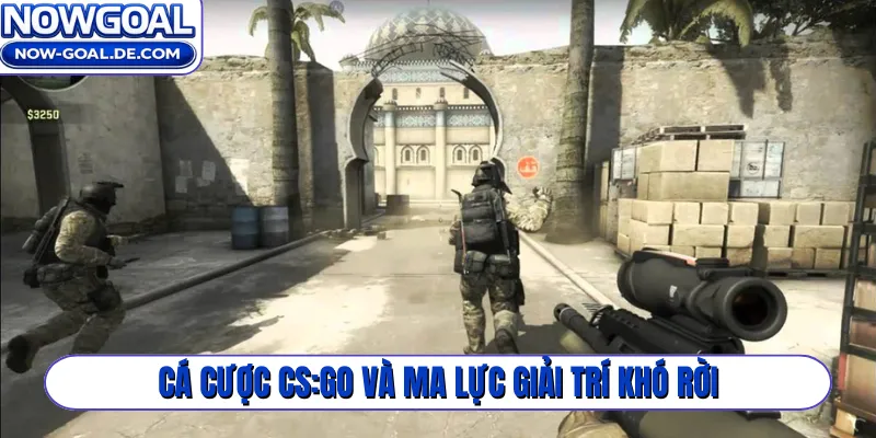 Cá cược CS:GO và ma lực giải trí khó rời