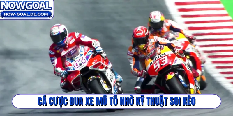 Cá cược đua xe mô tô nhờ kỹ thuật soi kèo