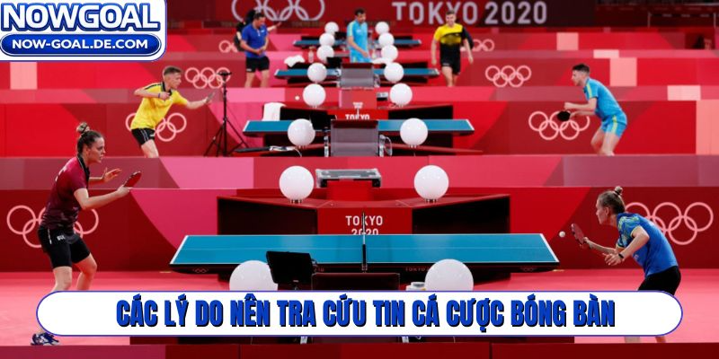 Các lý do nên tra cứu tin cá cược bóng bàn