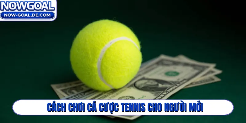 Cách chơi cá cược tennis cho người mới