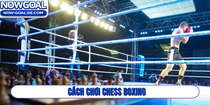 Cách chơi Chess Boxing