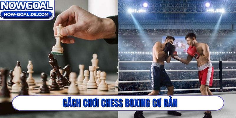 Cách chơi Chess Boxing cơ bản