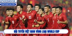 Đội tuyển Việt Nam vòng loại World Cup