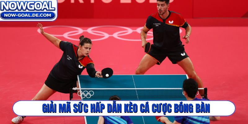 Giải mã sức hấp dẫn kèo cá cược bóng bàn