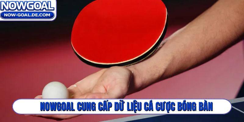 Nowgoal cung cấp dữ liệu cá cược bóng bàn