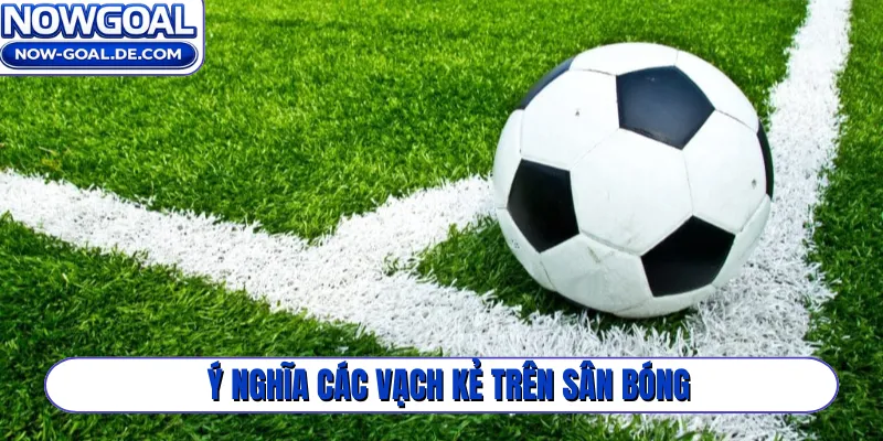 Ý nghĩa các vạch kẻ trên sân bóng